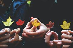 Article : Recevoir un diagnostic d'autisme à l'âge adulte : Que dois-je faire en attendant un diagnostic officiel ? 