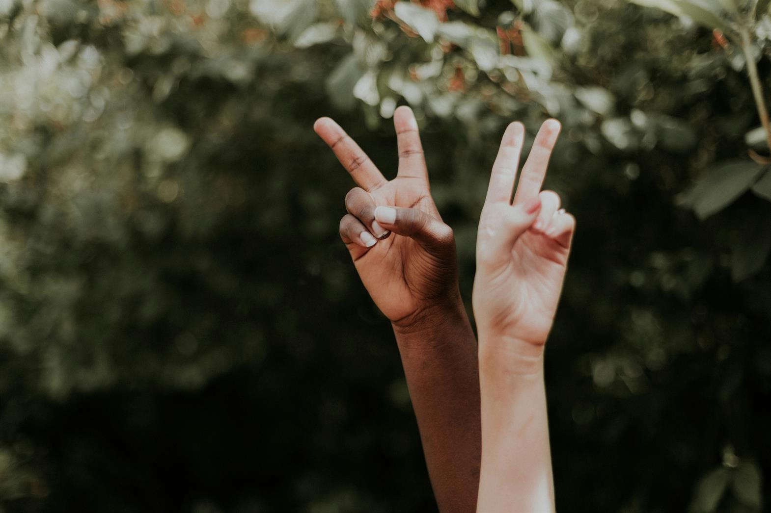 two people's hands making peace signs