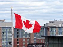 Provincial Income Replacement Supports for Adults