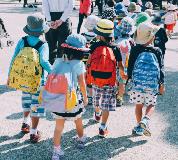 Back to School Collection