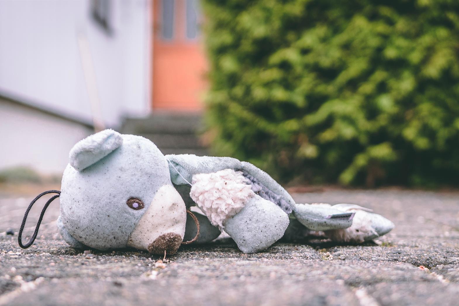 A teddy bear with the stuffing coming out of an arm