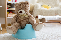 Toilet Training Basics