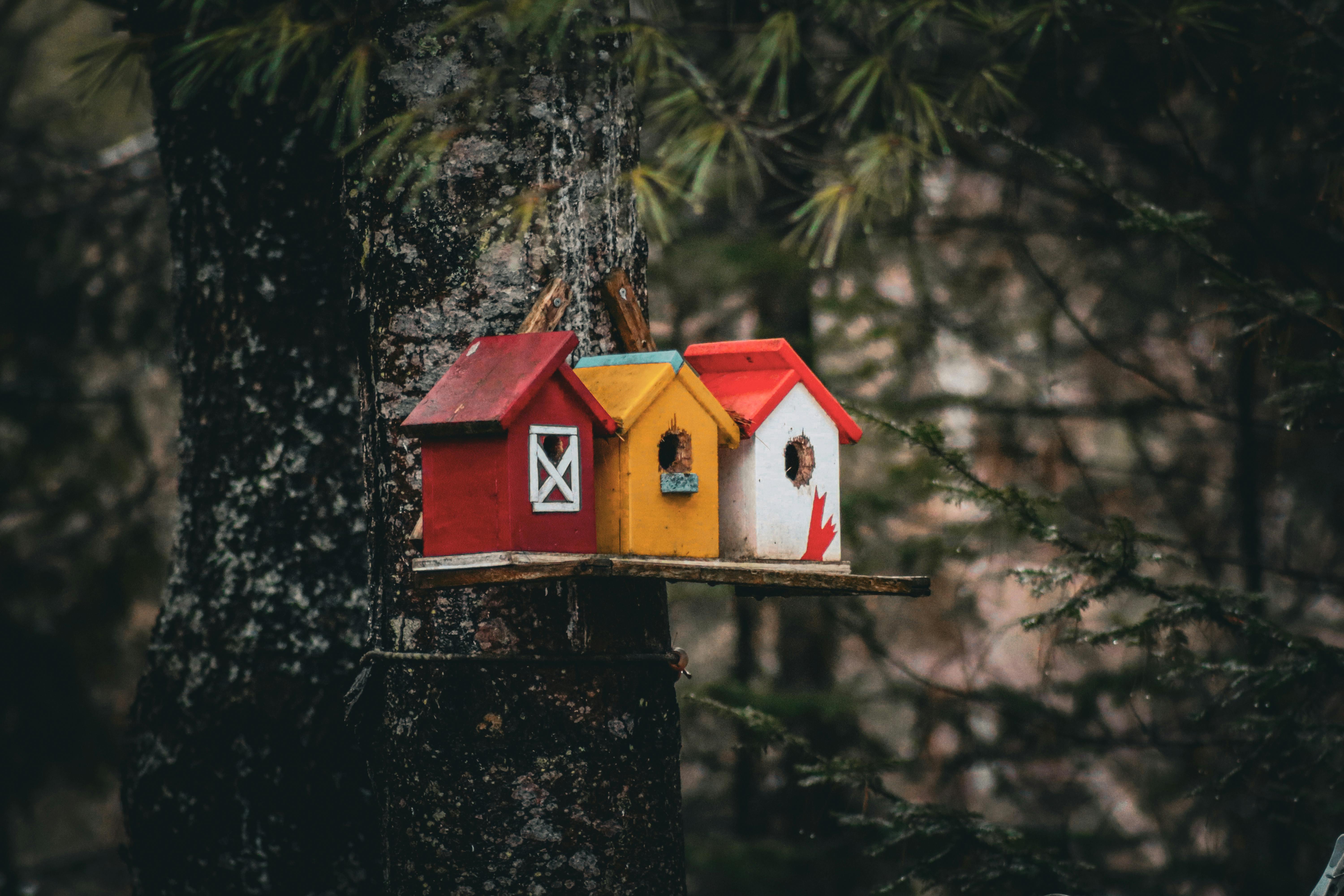 Colourful birdhouses