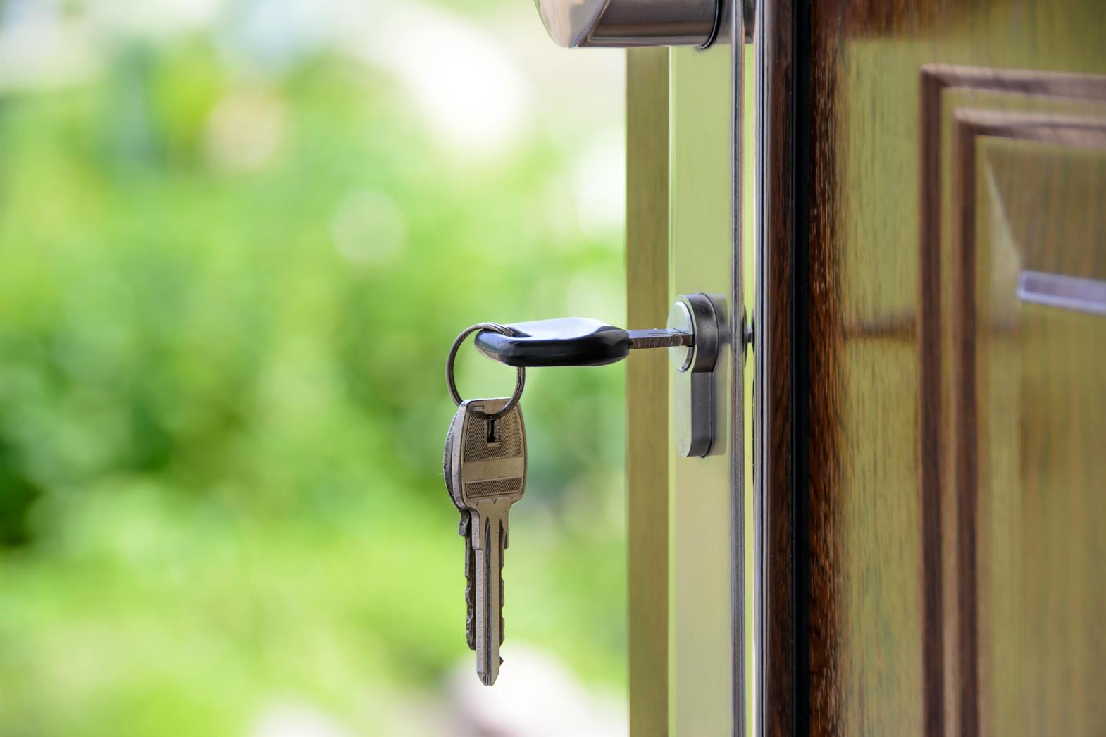A key in the lock of a wooden door with green leaves in the background