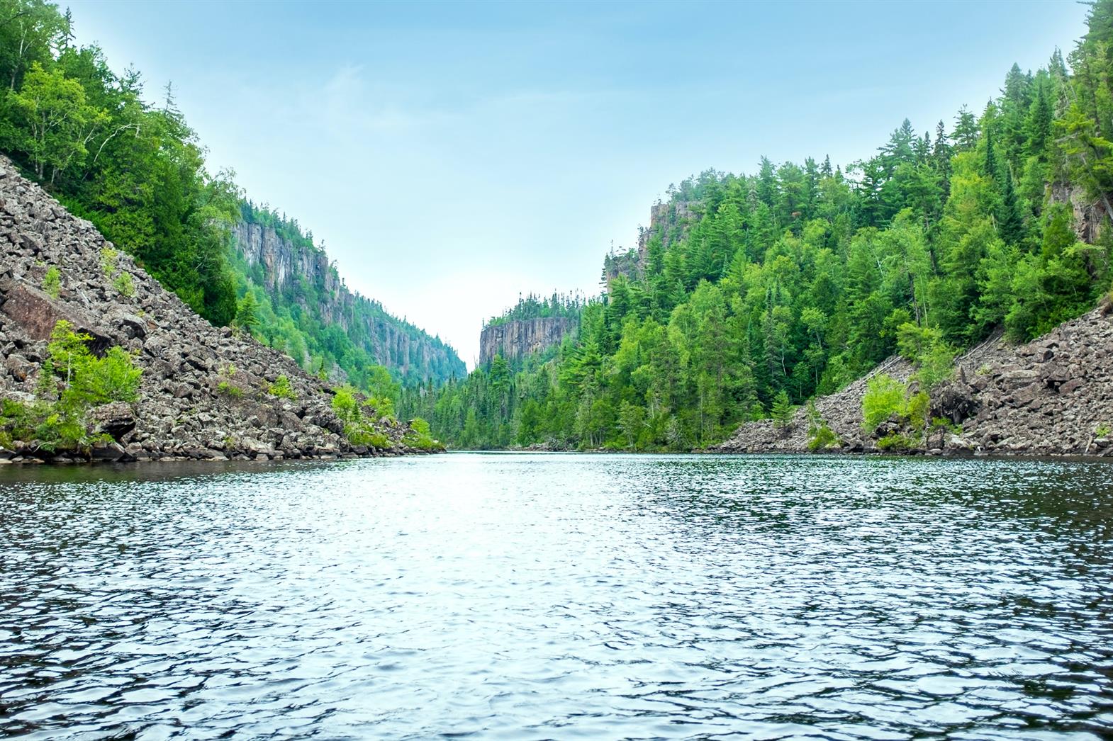A river running through a mountain forest