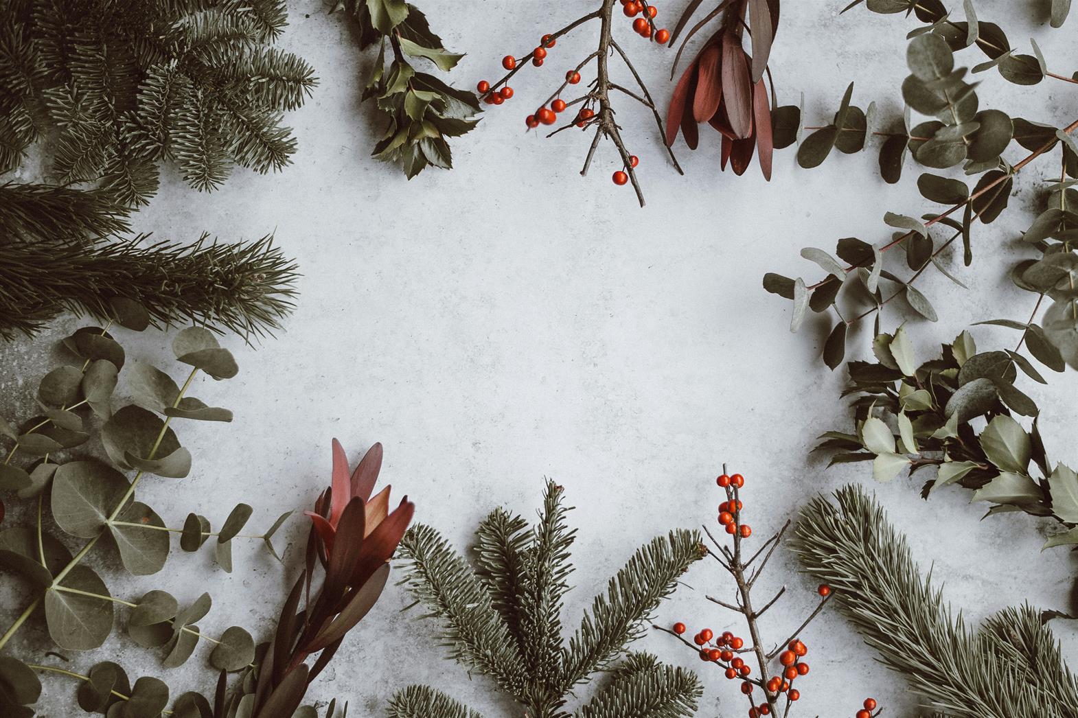 Christmas themed pine and eucalyptus leaves lying on white background